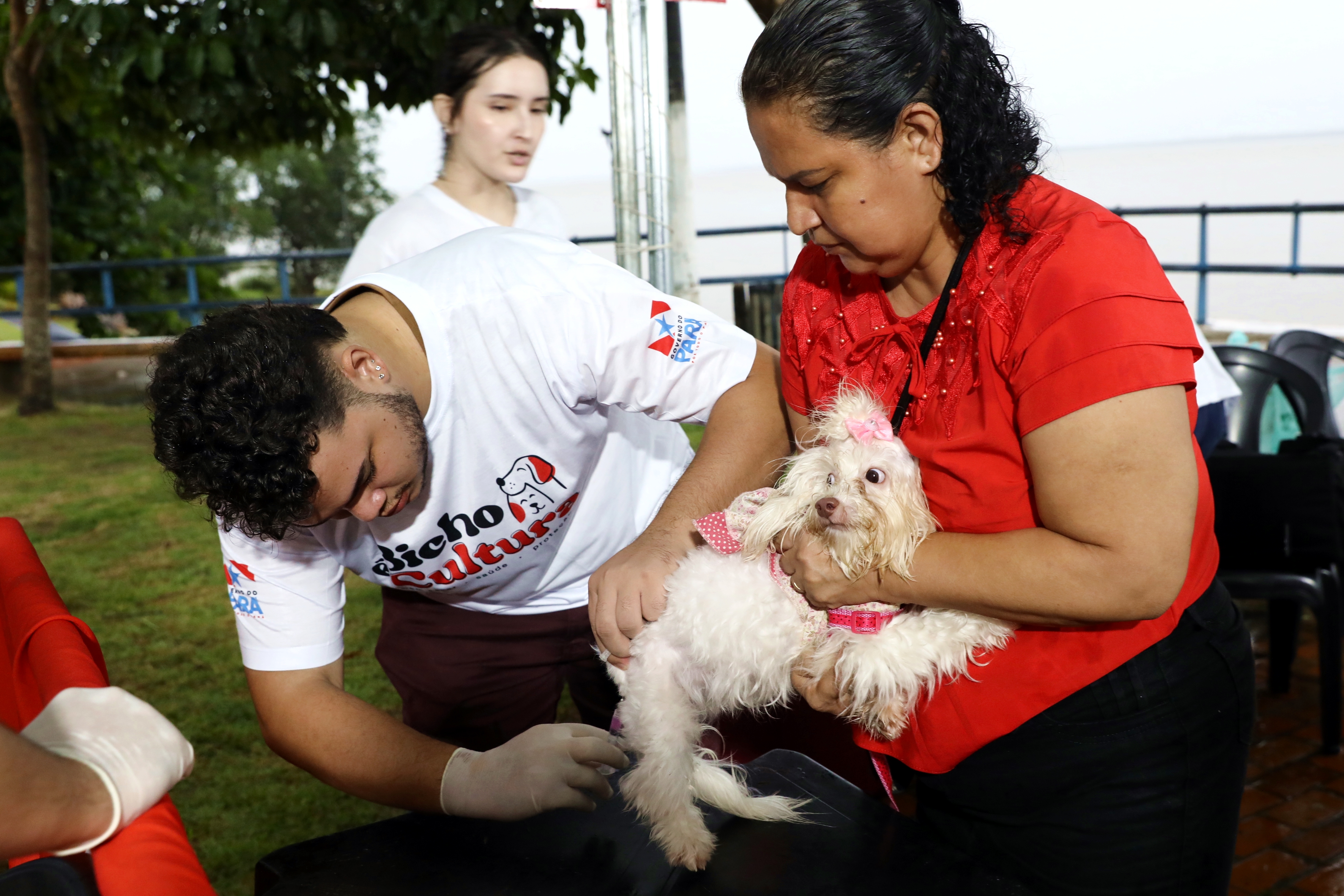 A programação contou com serviços de saúde aos pets (Foto: Camila Lima/ Portal Cultura)