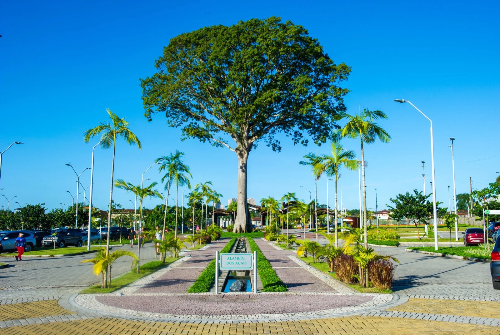 Imagem do Parque do Utinga