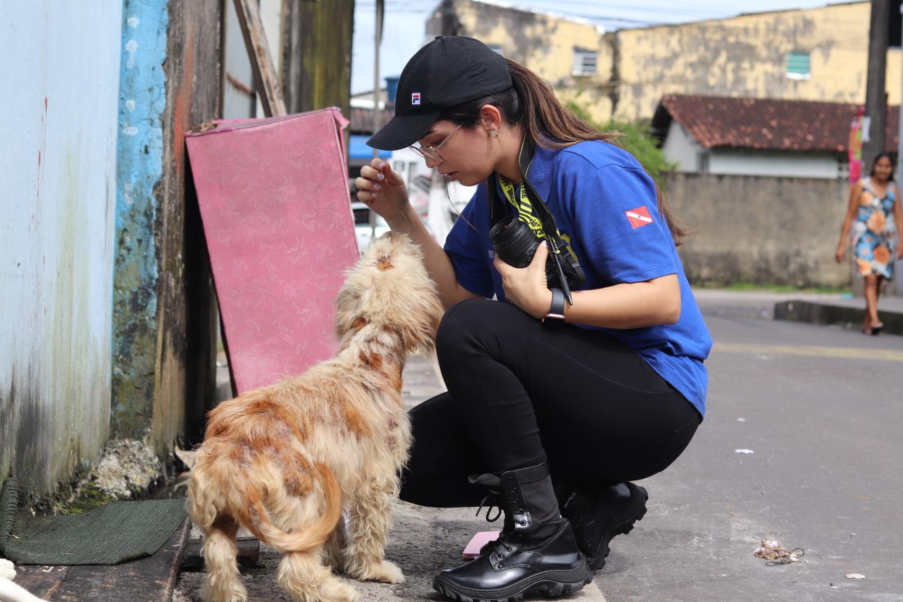 Uma cuidadora cuidando de um gato de rua