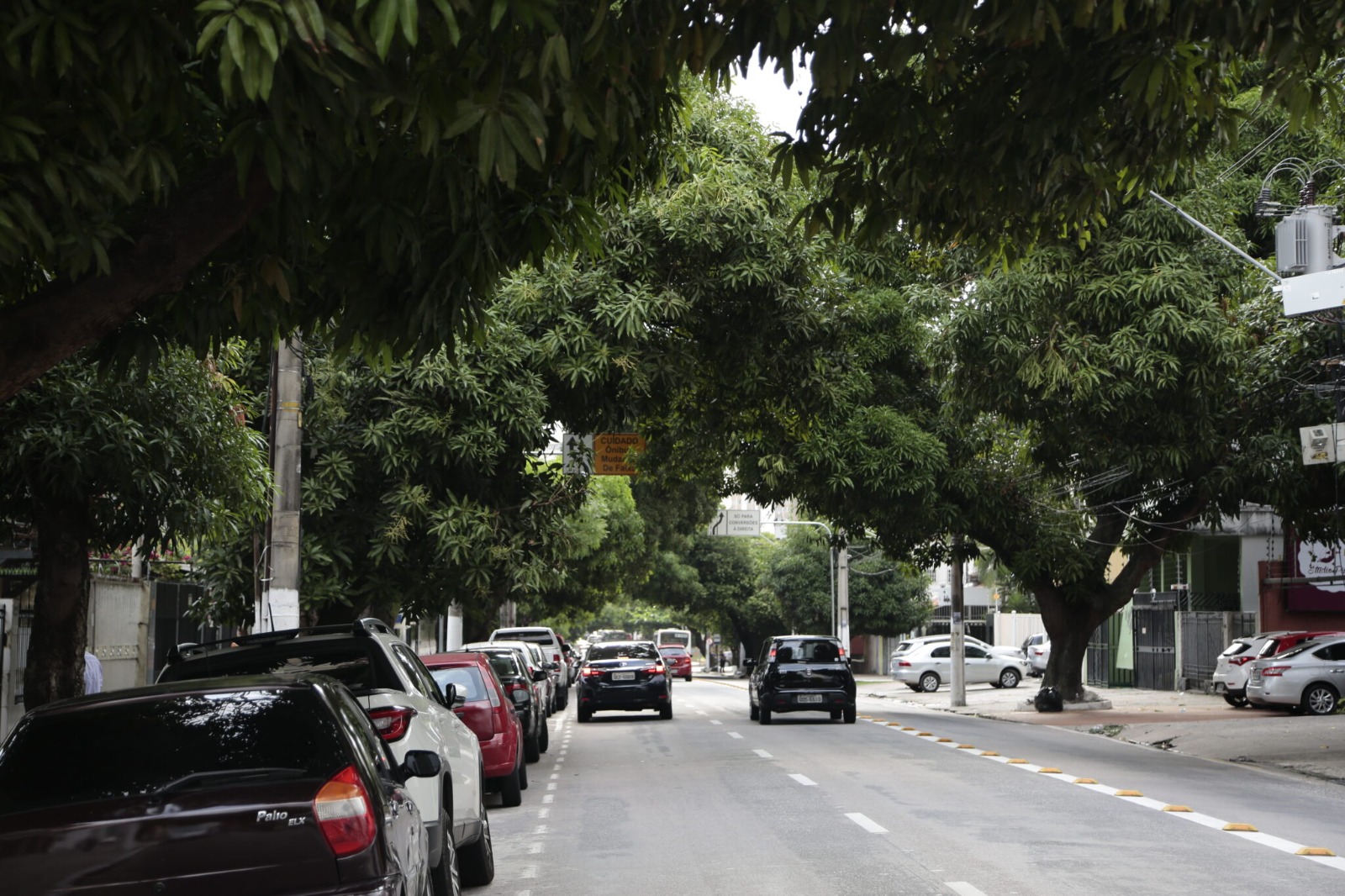 Foto de uma avenida em Belém cercada por arvores de mangas