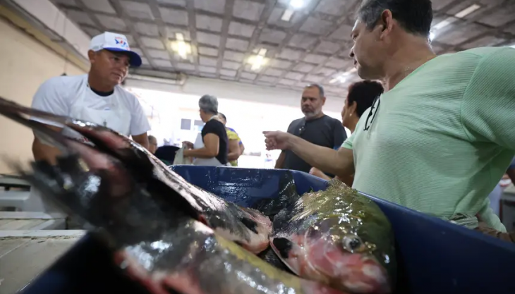 Foto: Marco Santos / Ag. Pará