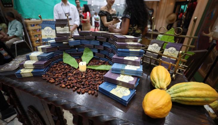 Foto: Rodrigo Pinheiro/ Agência Pará