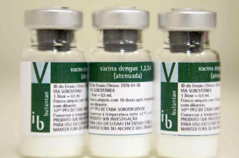 A foto mostra três frascos da vacina contra a dengue produzida pelo Butantan. São frascos de vidro com rótulos nas cores branco e verde, onde estão impressas as informações sobre o imunizante.