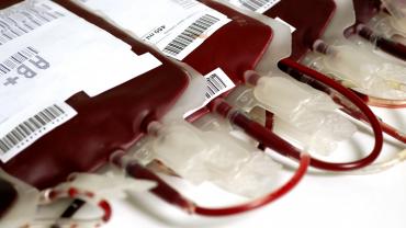 bolsas de sangue