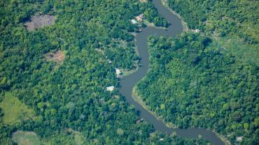 imagem aérea da floresta amazônica 