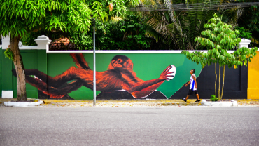 Mural pintado em cores amazônicas (Verde, amarelo, marrom) de um Mico-Leão-Dourado