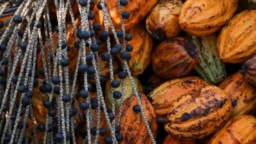 Foto: Pedro Guerreiro/Ag Pará