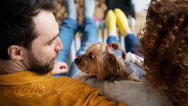 Foto mostra um casal sentado em uma sala de estar com um pequeno cão entre eles.