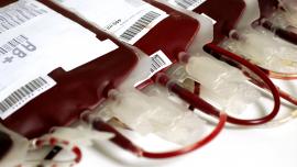 bolsas de sangue