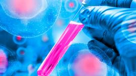 Primeiro tratamento para leucemia com células imunes derivadas do cordão umbilical será testado no Brasil