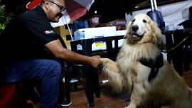 Segunda ação ‘Bicho é Cultura’ foi realizada em Icoaraci (Foto: Camila Lima/ Portal Cultura)
