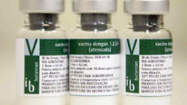 A foto mostra três frascos da vacina contra a dengue produzida pelo Butantan. São frascos de vidro com rótulos nas cores branco e verde, onde estão impressas as informações sobre o imunizante.