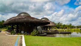 Parque Estadual do Utinga (Foto: Vinicius Pinto / Ag. Pará)