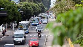 Foto: Bruno Cecim / Ag.Pará