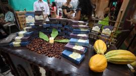 Foto: Rodrigo Pinheiro/ Agência Pará