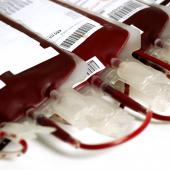 bolsas de sangue