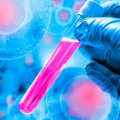 Primeiro tratamento para leucemia com células imunes derivadas do cordão umbilical será testado no Brasil