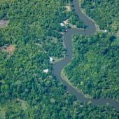 imagem aérea da floresta amazônica 