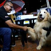 Segunda ação ‘Bicho é Cultura’ foi realizada em Icoaraci (Foto: Camila Lima/ Portal Cultura)