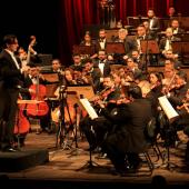 Foto: Arquivo Agência Pará