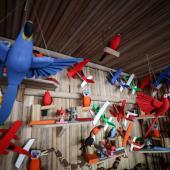 Foto: Rodrigo Pinheiro / Ag.Pará