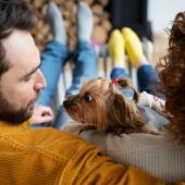 Foto mostra um casal sentado em uma sala de estar com um pequeno cão entre eles.